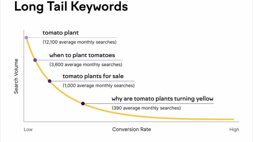 best long tail keyword research tool